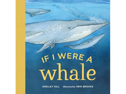 If I Were a Whale: A Board Book for Toddlers Ages 1-3