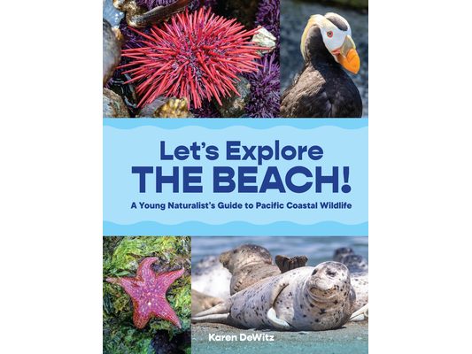 Let's Explore the Beach!: A Young Naturalist's Guide to Pacific Coastal Wildlife