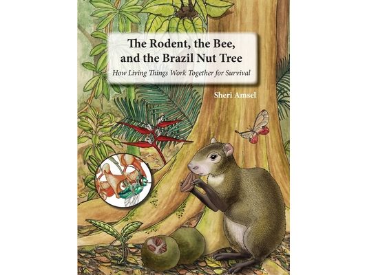 The Rodent, the Bee, and the Brazil Nut Tree: How Living Things Work Together for Survival