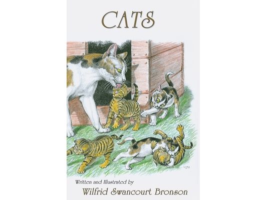Cats