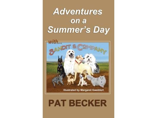 Adventures on a Summer's Day: (first of the Bandit and Company series)
