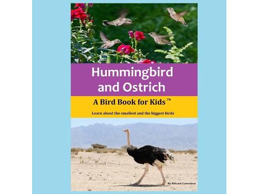 Hummingbird and Ostrich: A Bird Book for Kids