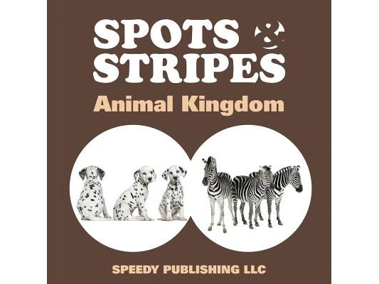 Spots & Stripes Animal Kingdom