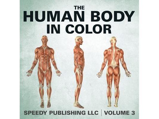 The Human Body In Color Volume 3
