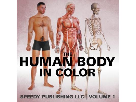 The Human Body In Color Volume 1