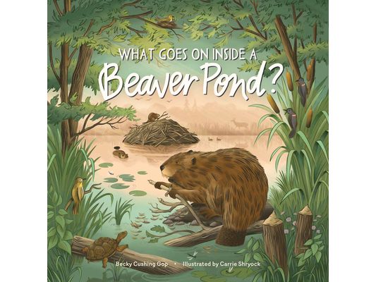 What Goes on Inside a Beaver Pond?