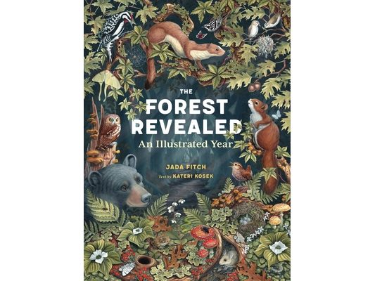 The Forest Revealed: An Illustrated Year