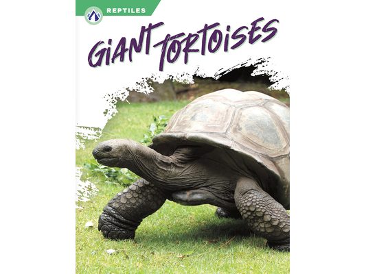 Giant Tortoises