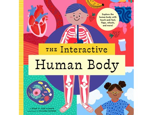 The Interactive Human Body: Explore the Human Body with Flaps, Wheels, Touch and Feel, and More!