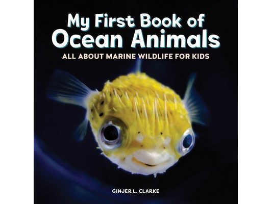 My First Book of Ocean Animals: All about Marine Wildlife for Kids