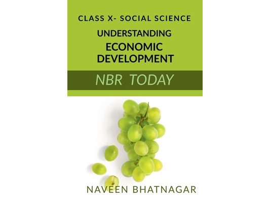 Class X Understanding Economic Development