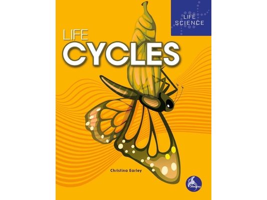 Life Cycles