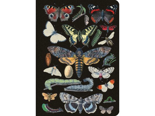 Vintage Butterflies Journal / Notebook / Diary - Lined Pages