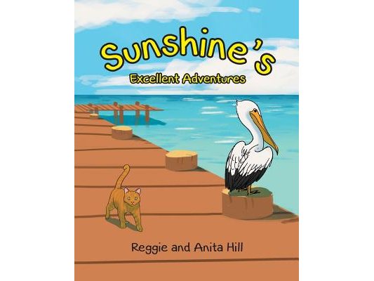 Sunshine's Excellent Adventures