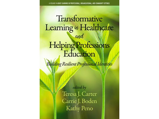 Transformative Learning in Healthcare and Helping Professions Education: Building Resilient Professional Identities (hc)