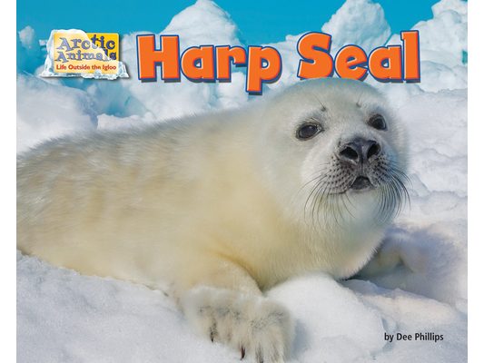 Harp Seal