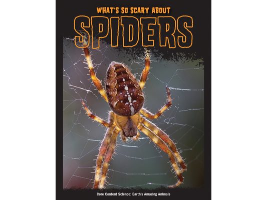 What's So Scary about Spiders?