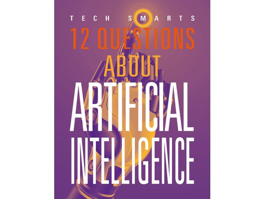 12 Questions about Artificial Intelligence