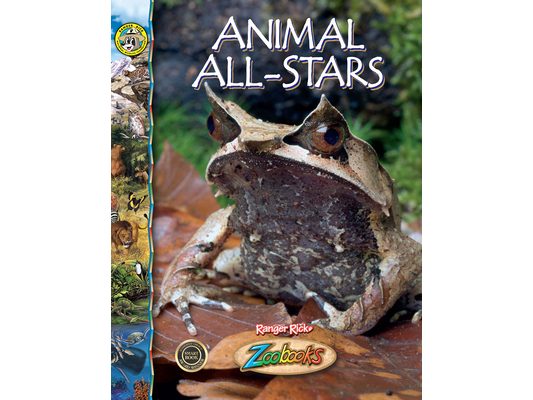 Animal All-Stars