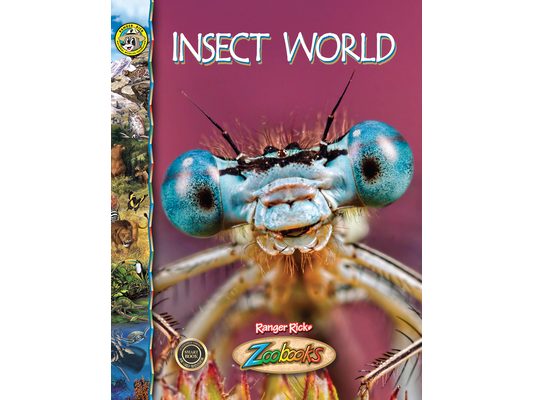 Insect World