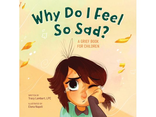 Why Do I Feel So Sad?: A Grief Book for Children