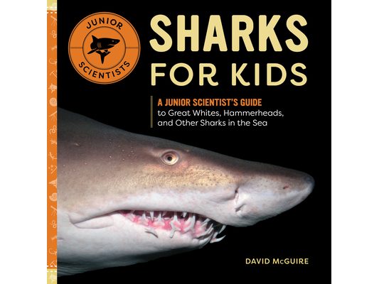 Sharks for Kids: A Junior Scientist's Guide to Great Whites, Hammerheads, and Other Sharks in the Sea