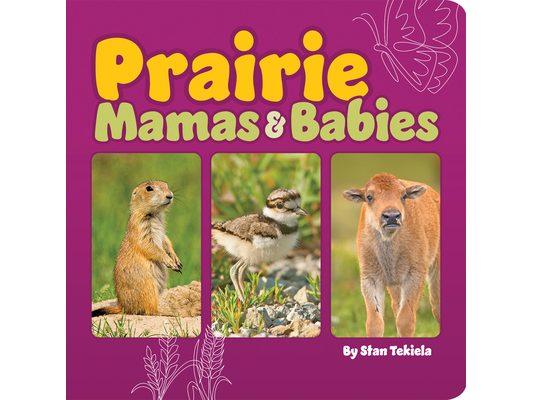 Prairie Mamas & Babies