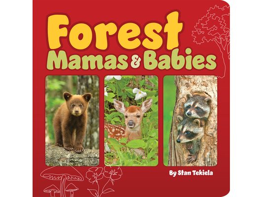 Forest Mamas & Babies