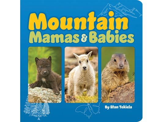 Mountain Mamas & Babies
