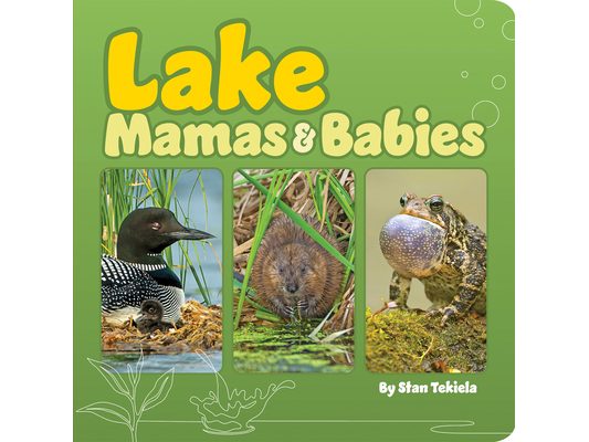 Lake Mamas & Babies