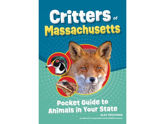 Critters of Massachusetts: Pocket Guide to Animals in Your State