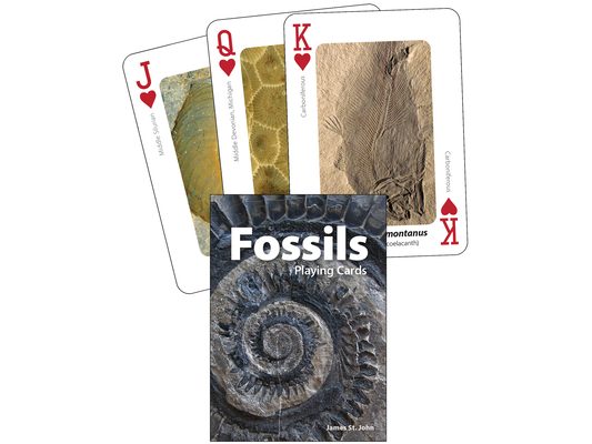 Fossils Playing Cards