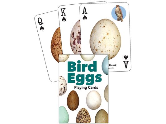 Bird Eggs Playing Cards