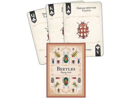 Beetles Playing Cards