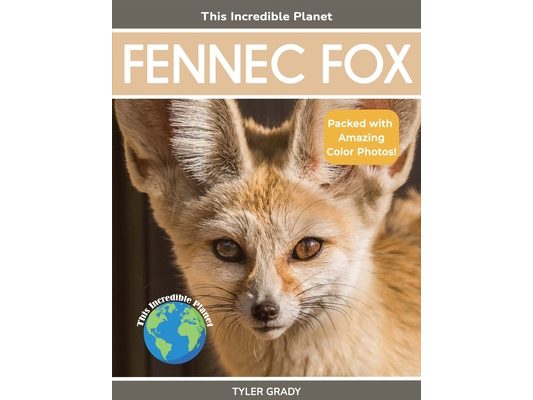 Fennec Fox: Fascinating Animal Facts for Kids