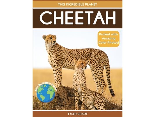 Cheetah: Fascinating Animal Facts for Kids