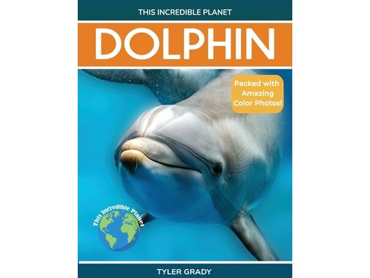 Dolphin: Fascinating Animal Facts for Kids