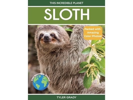 Sloth: Fascinating Animal Facts for Kids