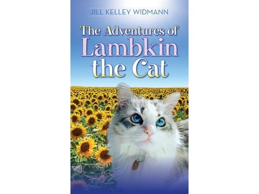 The Adventures of Lambkin the Cat