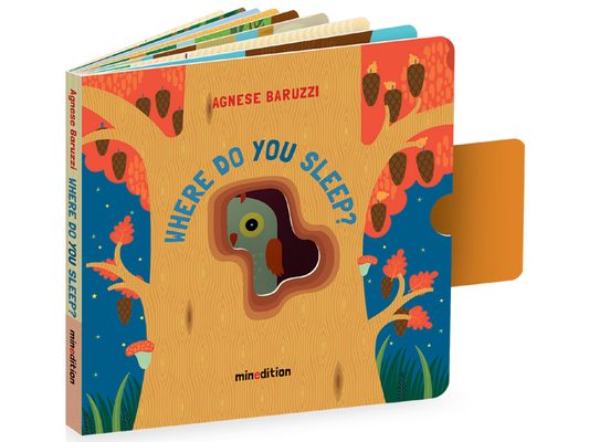 Where Do You Sleep? (a Pull Tab Book)