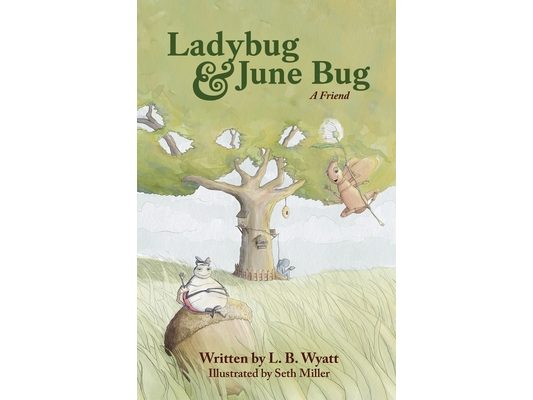 Ladybug & June Bug: A Friend
