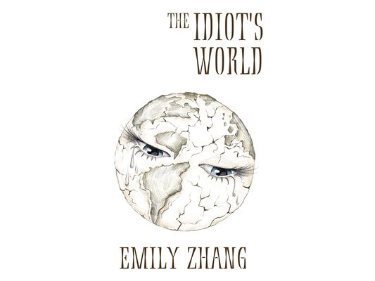 The Idiot's World