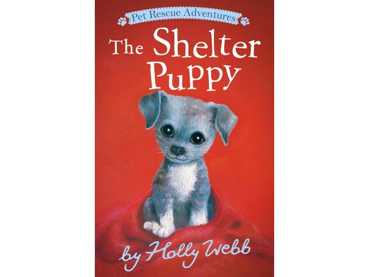 The Shelter Puppy