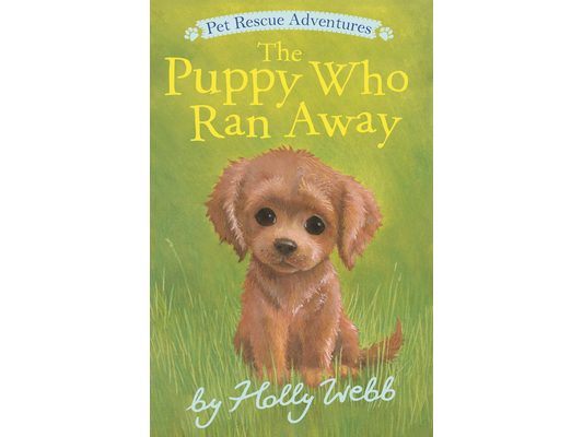 The Puppy Who Ran Away