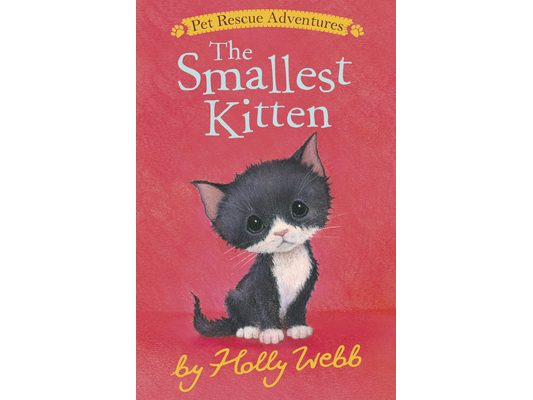 The Smallest Kitten