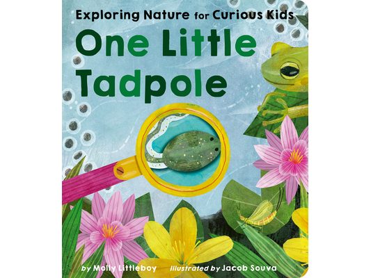 One Little Tadpole: Exploring Nature for Curious Kids