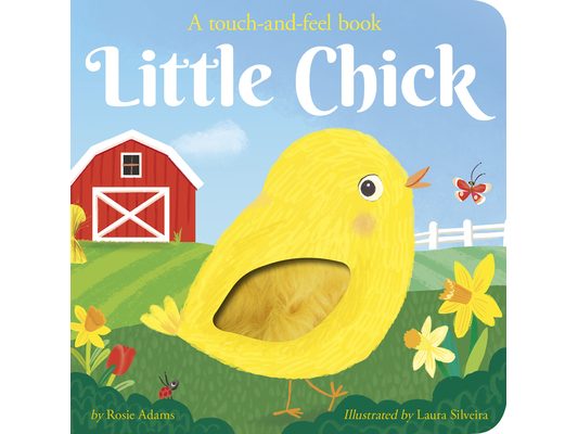 Little Chick: A Touch-And-Feel Book