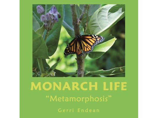 Monarch Life: "Metamorphosis"