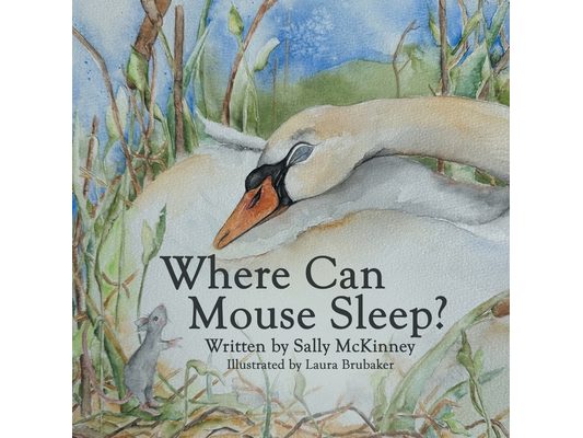 Where Can Mouse Sleep?
