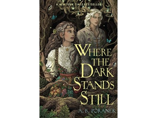 Where the Dark Stands Still